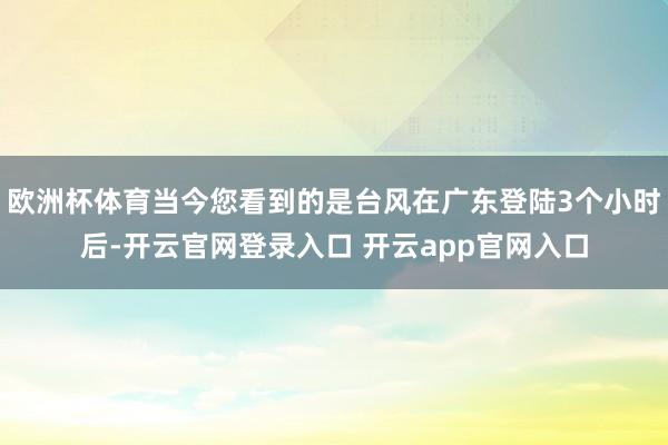 欧洲杯体育当今您看到的是台风在广东登陆3个小时后-开云官网登录入口 开云app官网入口