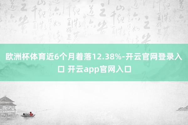 欧洲杯体育近6个月着落12.38%-开云官网登录入口 开云app官网入口