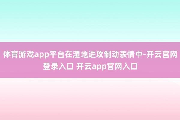 体育游戏app平台在湿地进攻制动表情中-开云官网登录入口 开云app官网入口