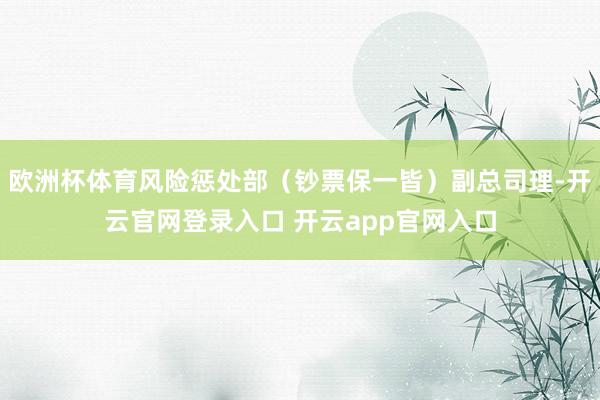 欧洲杯体育风险惩处部（钞票保一皆）副总司理-开云官网登录入口 开云app官网入口