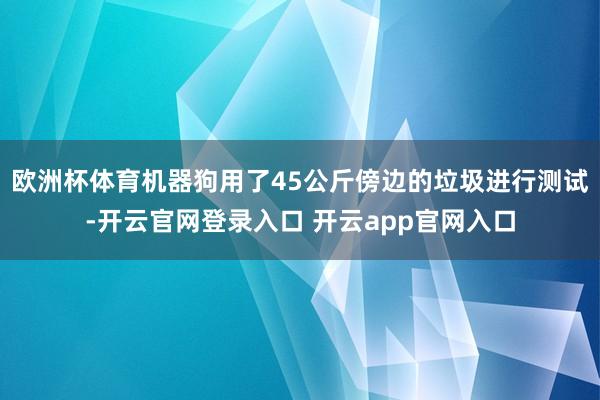 欧洲杯体育机器狗用了45公斤傍边的垃圾进行测试-开云官网登录入口 开云app官网入口