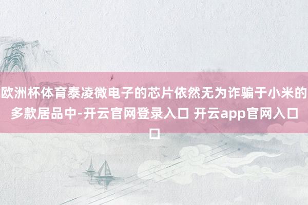 欧洲杯体育泰凌微电子的芯片依然无为诈骗于小米的多款居品中-开云官网登录入口 开云app官网入口