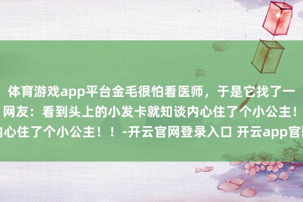 体育游戏app平台金毛很怕看医师，于是它找了一个神器来捧场，笑喷了！网友：看到头上的小发卡就知谈内心住了个小公主！！-开云官网登录入口 开云app官网入口
