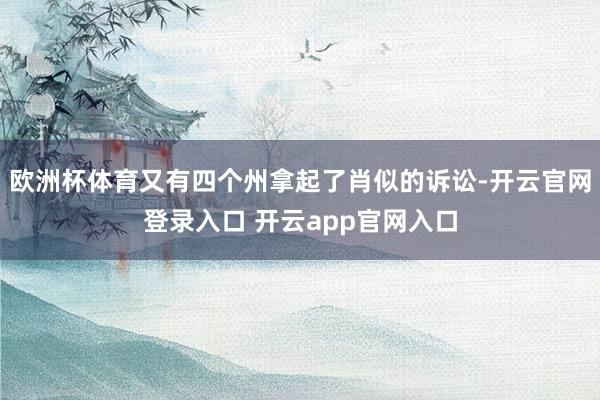 欧洲杯体育又有四个州拿起了肖似的诉讼-开云官网登录入口 开云app官网入口