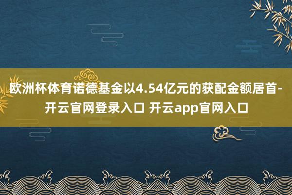 欧洲杯体育诺德基金以4.54亿元的获配金额居首-开云官网登录入口 开云app官网入口